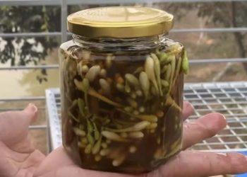 Cách Làm Và Tác Dụng Của Hoa Đu Đủ Đực Ngâm Mật Ong