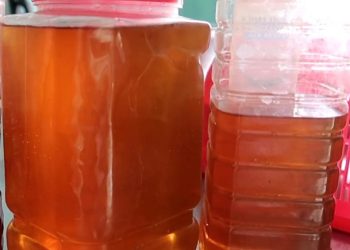 nước mắm cá cơm